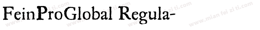 FeinProGlobal Regula字体转换